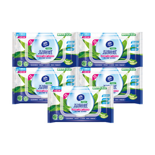 维达芦荟湿厕纸女性专用男士厕纸湿巾孕妇擦屁股湿纸巾家庭实惠装
