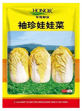 华耐袖珍娃娃黄心小白菜种籽