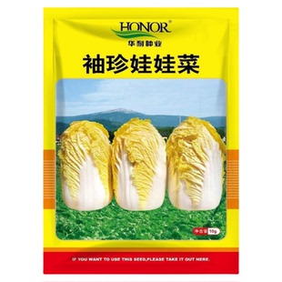 袖珍娃娃黄心小白菜种籽菜籽种孑春季夏秋冬蔬菜种子禾之元业高山