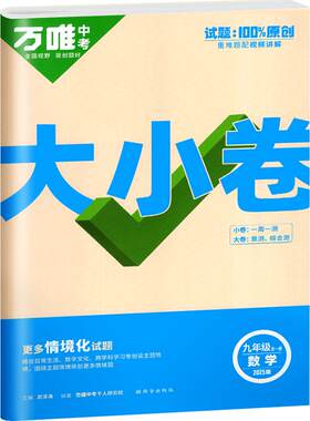 万唯大小卷初中七八九年级上下册