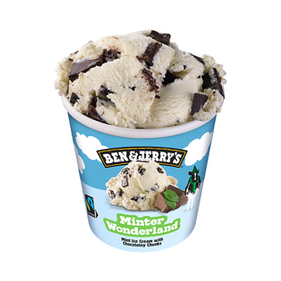 【部分临期】benjerry本杰瑞冰淇淋原装进口gelato巧克力冰激凌