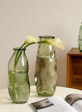 绿色不规则玻璃花瓶透明插花水养高级感复古法式水培鲜花富贵竹