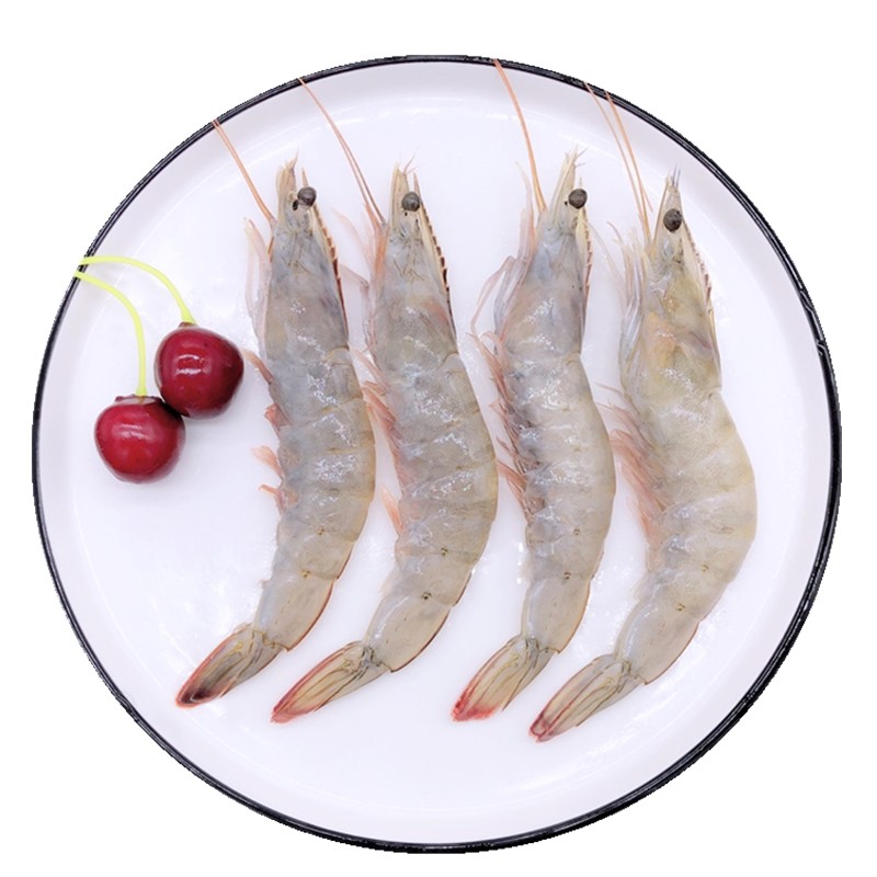 新鲜鲜活基围虾大虾青虾包邮对虾