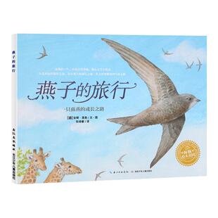 燕子的旅行 平装海豚绘本花园儿童故事书幼儿阅读幼儿园宝宝经典启蒙0-2-3-4-6岁婴儿早教小学一二三年级简装批发