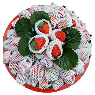 顺丰包邮特级新鲜奶油草莓大凉山露天99红颜礼品级孕妇大水果现摘