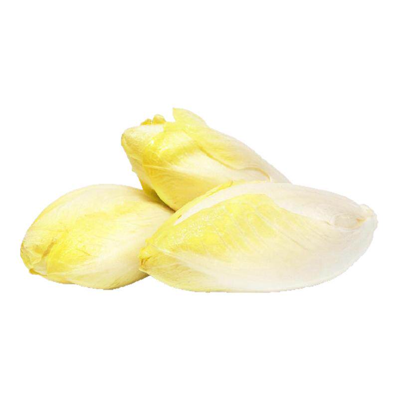 西餐沙拉新鲜玉兰菜菊苣比利时