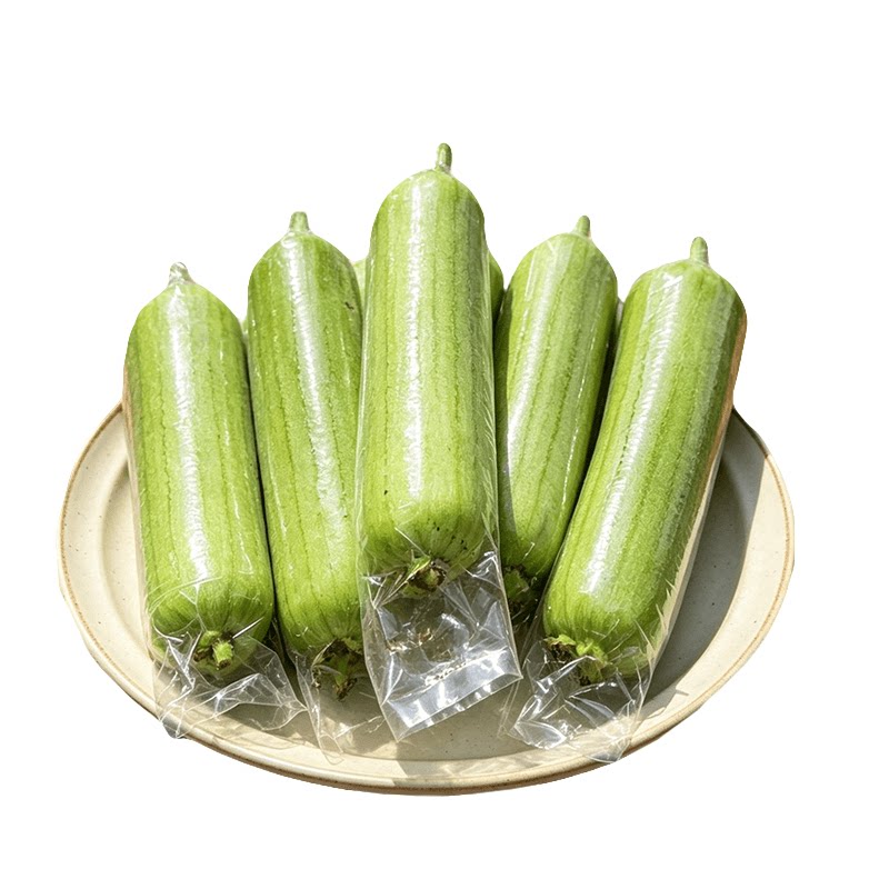 【白玉丝瓜】时令蔬菜|老农自种