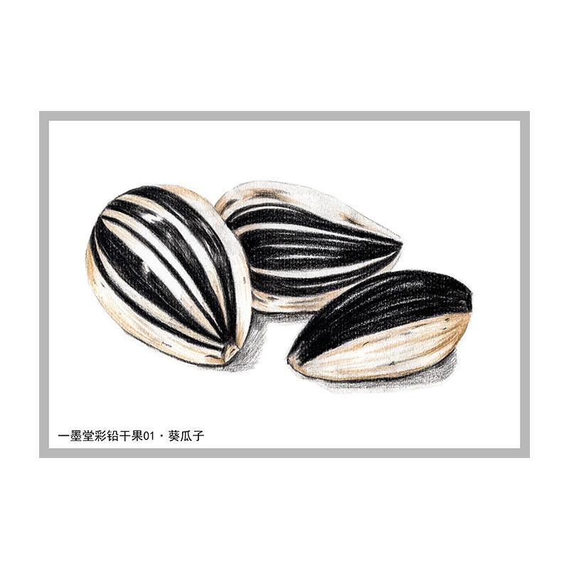 美术素描绘画卡片临摹彩铅画