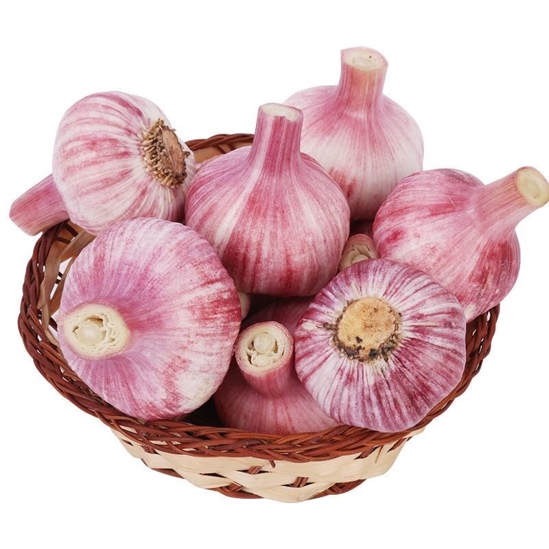 2026新鲜现挖紫鲜蒜湿蒜白皮大蒜头当季鲜蒜农家种植紫白皮多瓣蒜