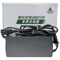 阿米尼電動車原裝智能鉛酸鋰電池