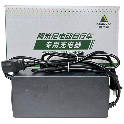 阿米尼电动车原装智能铅酸锂电池