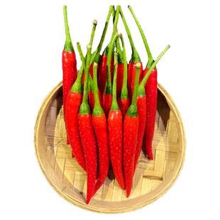 小米椒新鲜特辣批发广东正宗小米辣椒朝天椒红皮指天椒尖椒小米辣