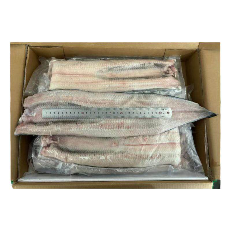 活杀冷冻生鳗鱼片烤肉店同款鳗鱼