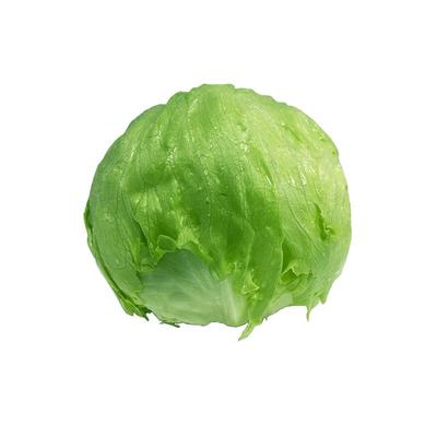 基地直发球生菜YIKECAI新鲜采摘