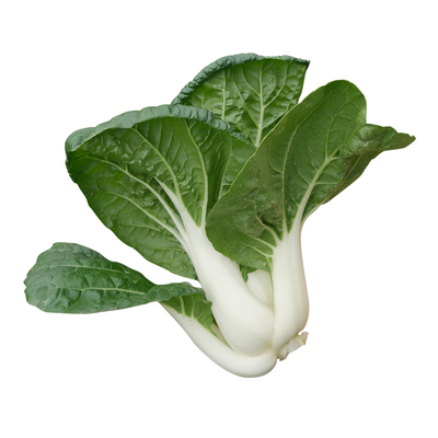 种子油菜蔬菜秋冬季四季蔬菜四季