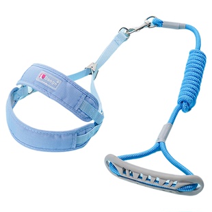 狗狗牵引绳中小型犬防爆冲防挣脱遛狗链子比熊泰迪博美胸背带狗绳