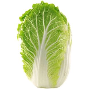 正宗东北大白菜新鲜冬储菜霜打白菜鲜嫩好吃可做辣白菜酸菜整箱发