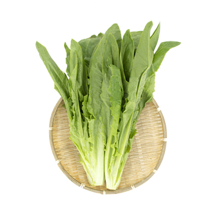 东升农场 供港油麦菜新鲜莜麦菜 火锅食材 供港蔬菜 广州配送300g