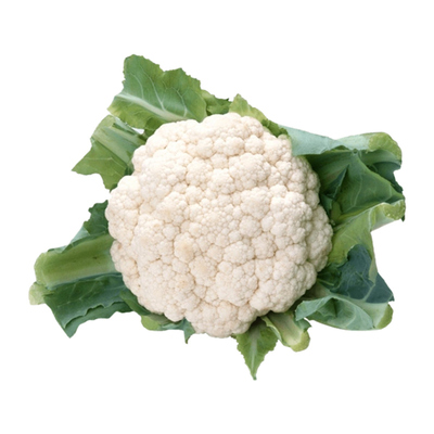 花菜苗白花菜秧苗甘蓝包菜秧苗