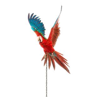 鹦鹉脚环脚链不锈钢鸟链子活扣八哥牡丹玄凤虎皮开口圈站架鸟用品