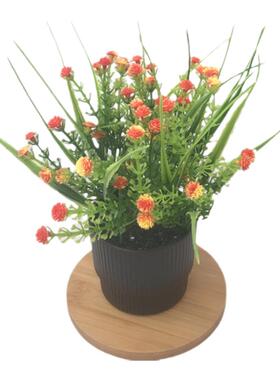 小盆栽仿真假花摆件客厅家居茶几摆设塑料花手捧花假植物套装饰品