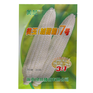美兰美玉7号玉米种加甜糯玉米种子甜糯好吃 今年新种正品种籽新货