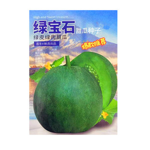 绿宝石甜瓜种子薄皮绿肉超甜夏季春季绿皮绿瓤日本甜宝香瓜种籽