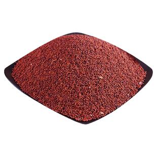 广西粟米粉粟粉拳头龙爪鸭脚粟掺子宝宝枕头五谷杂粮红啤米煮米粥