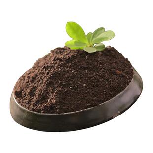 三角梅专用土多肉种花养花通用老桩盆栽育苗小苗开花专用肥营养液