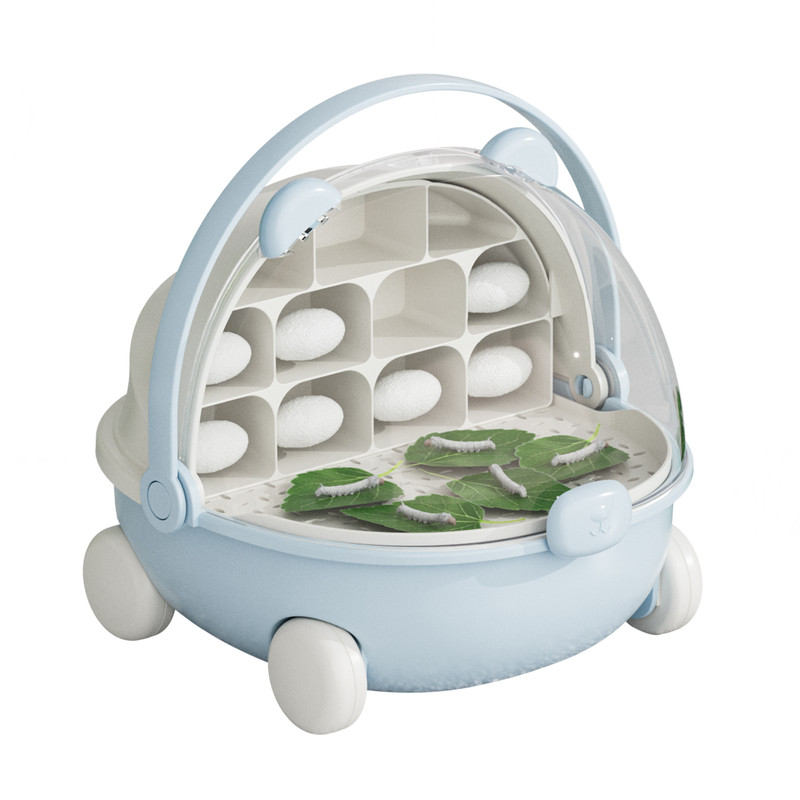 蚕宝宝活体蚕卵蚕籽学生养蚕套装春蚕蚕种幼蚕1龄234龄送新鲜桑叶