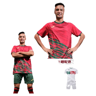 【可定制】Joma卡塔尔世界杯国家队灵感款足球服男款巴西欧洲杯