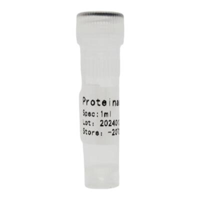 Proteinase K (20mg/ml) 蛋白酶K 溶液 蛋白酶K粉末