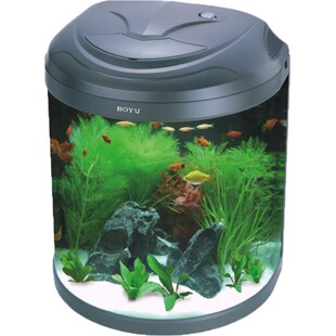 BOYU博宇半圆形鱼缸水族箱高清热弯玻璃客厅造景家用观赏小金鱼缸
