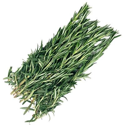 新鲜迷迭香西餐烧烤煎牛排香料