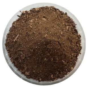 非洲堇紫罗兰盆栽营养花土腐熟家用庭院室内重瓣绿植专用育苗种植