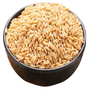 甘肃会宁特产小杂粮莜麦5斤高原旱地莜麦粒粗粮农家自产新货油麦