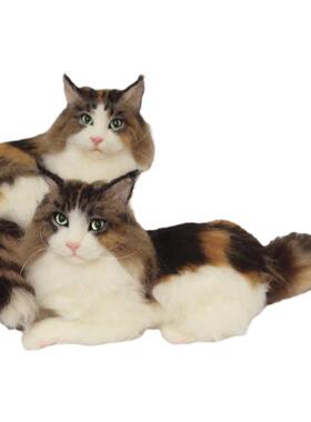 御姐羊毛毡宠物纪念来图定制玩偶模型戳戳乐成品DIY手工创意礼物