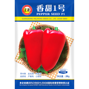和利农 正源香甜1号甜椒种籽红青椒种子四季高产蔬菜灯笼椒种孑