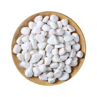 天然雨花石小白石子铺面盆栽花盆庭院造景装饰白色石头溪流防虫