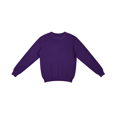 紫色长袖针织衫男秋冬季老钱风加厚高级感内搭打底衫男士毛衣冬装