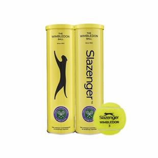 Slazenger史莱辛格网球温网比赛球铁罐胶罐格豹子球旧包装老包装