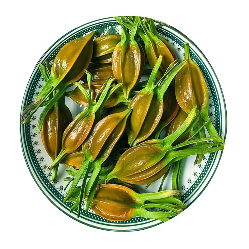 新鲜黄桅子山桅子果茶花茶黄色