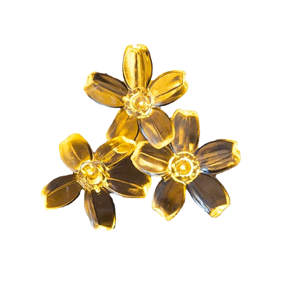 靓光景节日装饰200灯22米灯串