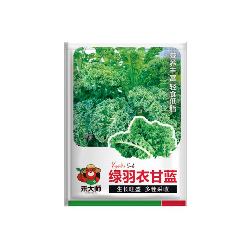 绿羽衣甘蓝种子观赏食用摘不败易种菜园阳台四季种植蔬菜种籽