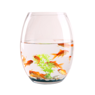 鱼缸透明玻璃创意圆柱形桌面生态金鱼缸大号乌龟缸办公家用水族箱