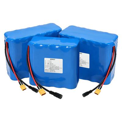 24v铁锂磷酸锂电池25.6V