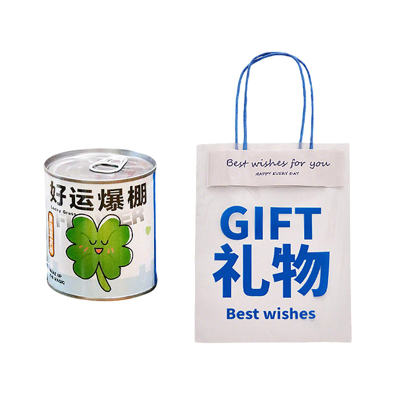 六一儿童节礼物盲盒种植小盆栽
