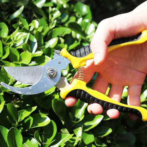 园林园艺艺剪花树枝剪刀修枝剪果树植物粗枝修花多功能花艺剪工具