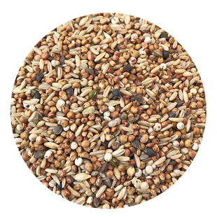 斑鸠 小鸽子幼鸽 观赏鸽肉鸽成鸽粮 无玉米无豌豆 鸽子饲料 5斤