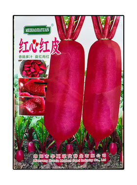 红心红皮长萝卜种子孑籽可生吃